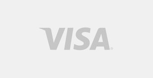 VISA Logo